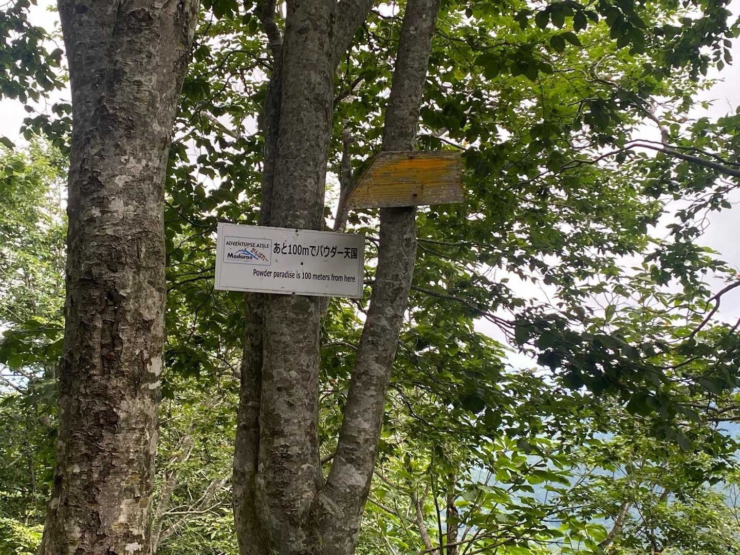 登山道にあった看板
「あと100mでパウダー天国」みたい