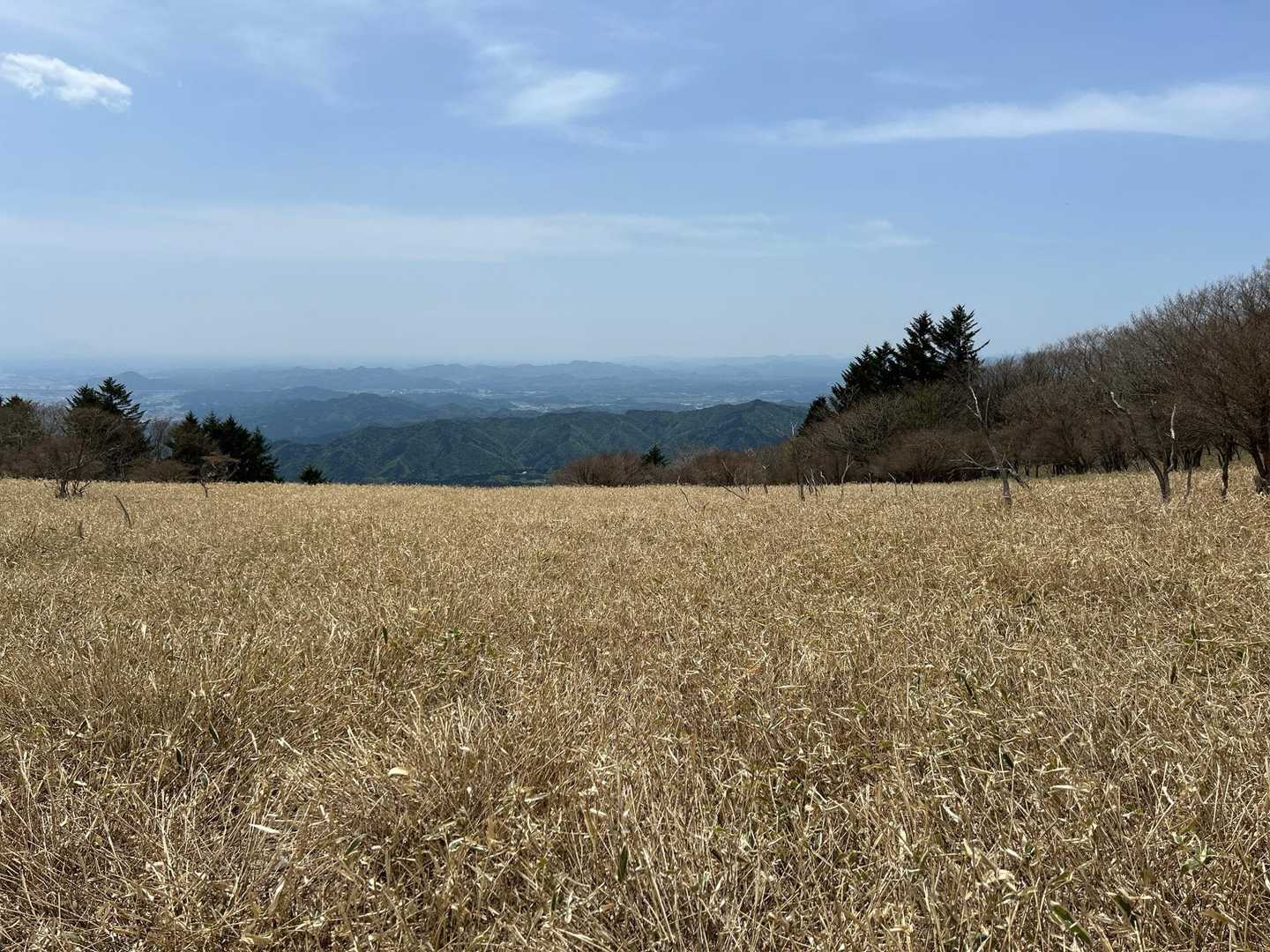 青空コースから