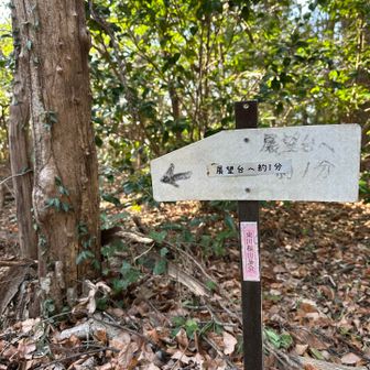 『展望台へ1分』