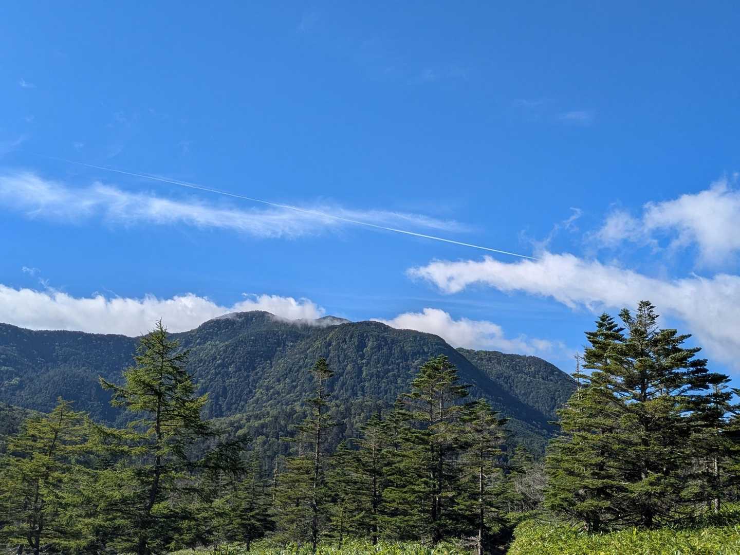 大河原峠-双子山-大岳-北横岳 周回コースの写真