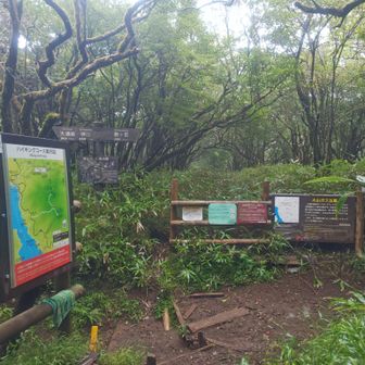 神山と駒ヶ岳の分岐。