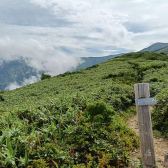 梶川峰。
梅花皮小屋から門内小屋までの稜線が見えた！