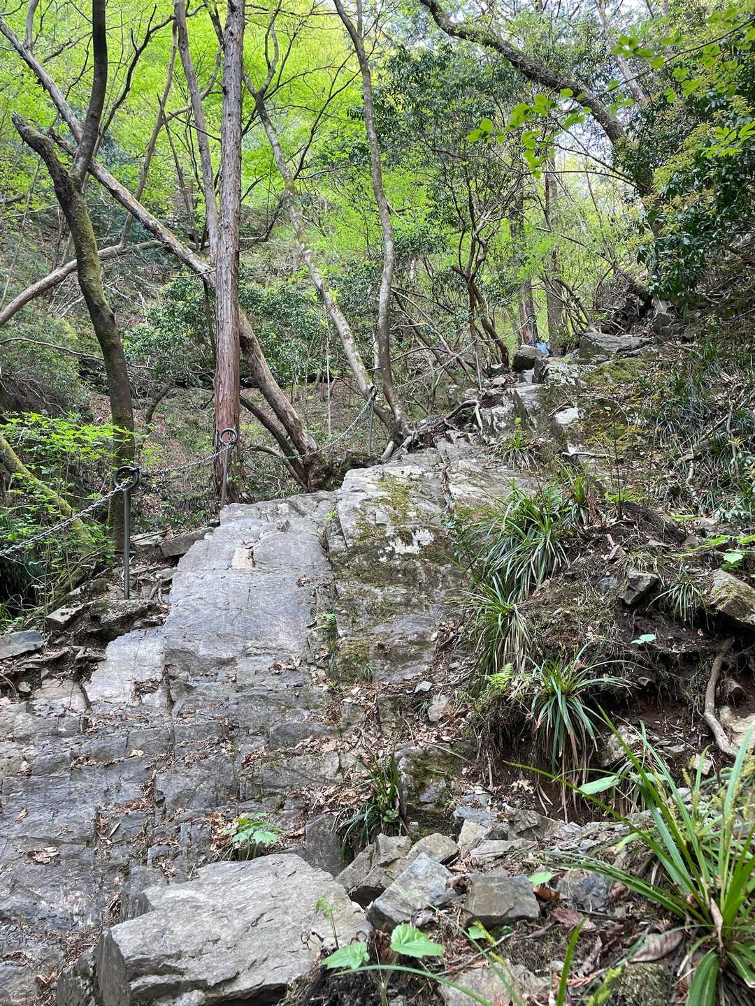 個人的にいちばんヤバいなと思うのはここですかね。
まあ3点支持してればなんてことはないですが…。