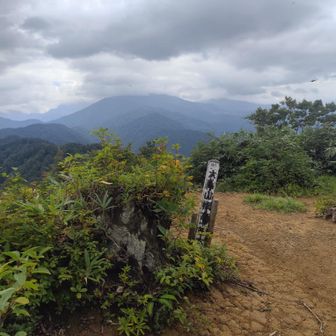 山頂、イェイ〜✌