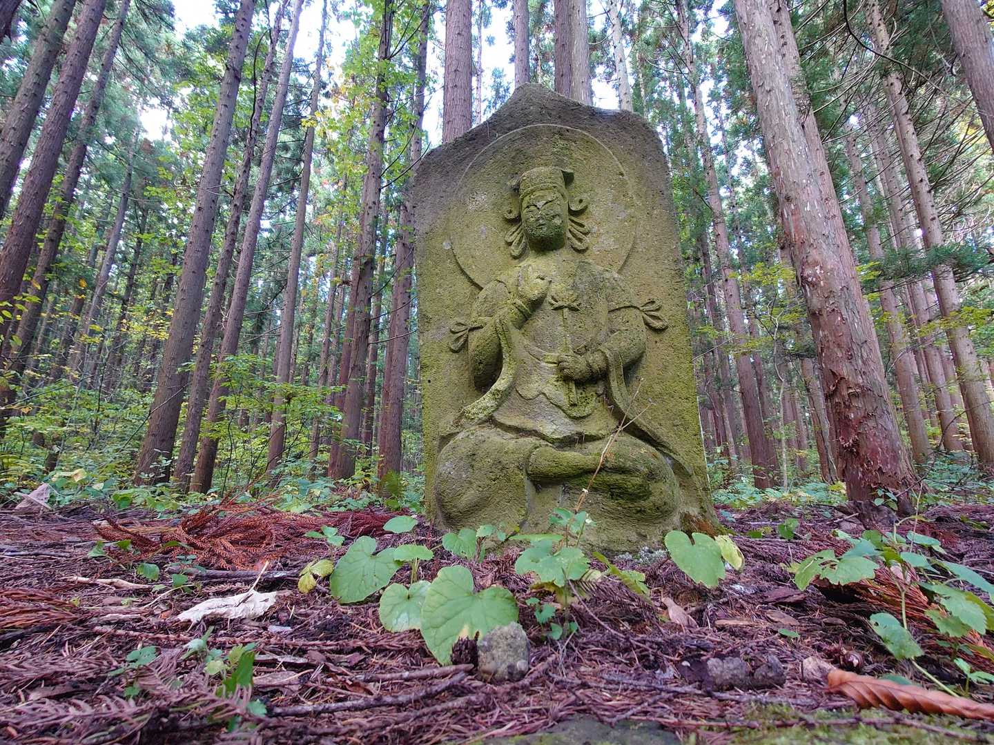 神々しい仏像が至るところにありました。