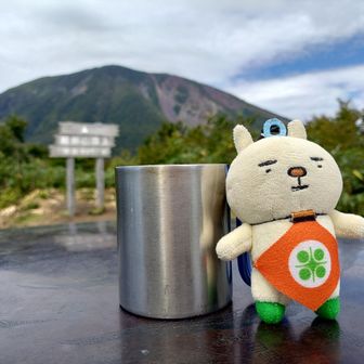 たろ活してます