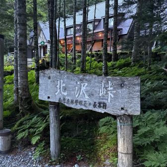 北沢峠こもれび山荘の横から登山口スタート