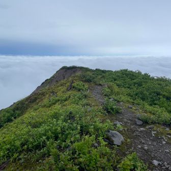 雲海サービス