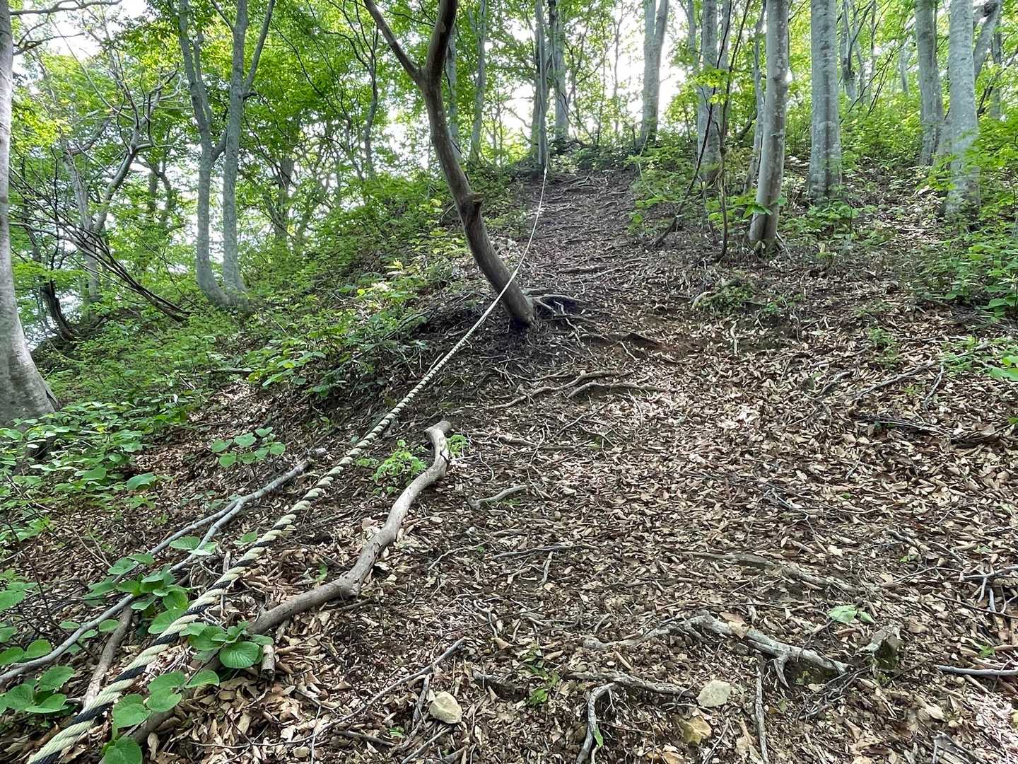 登山道の両側にお助けロープのある斜面を登ります