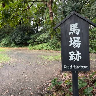 馬場跡🐴