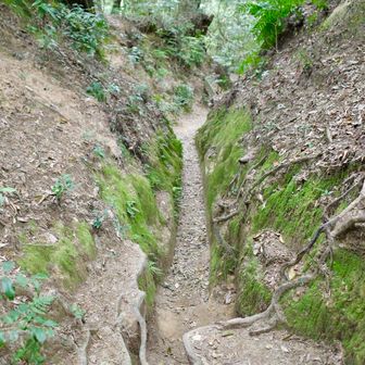 わ！細くて試されてる！