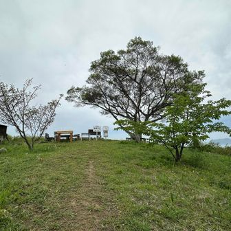 志々島最高峰の横尾の辻に到着です。