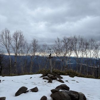 山頂まで誰とも会わず　静かな山行です