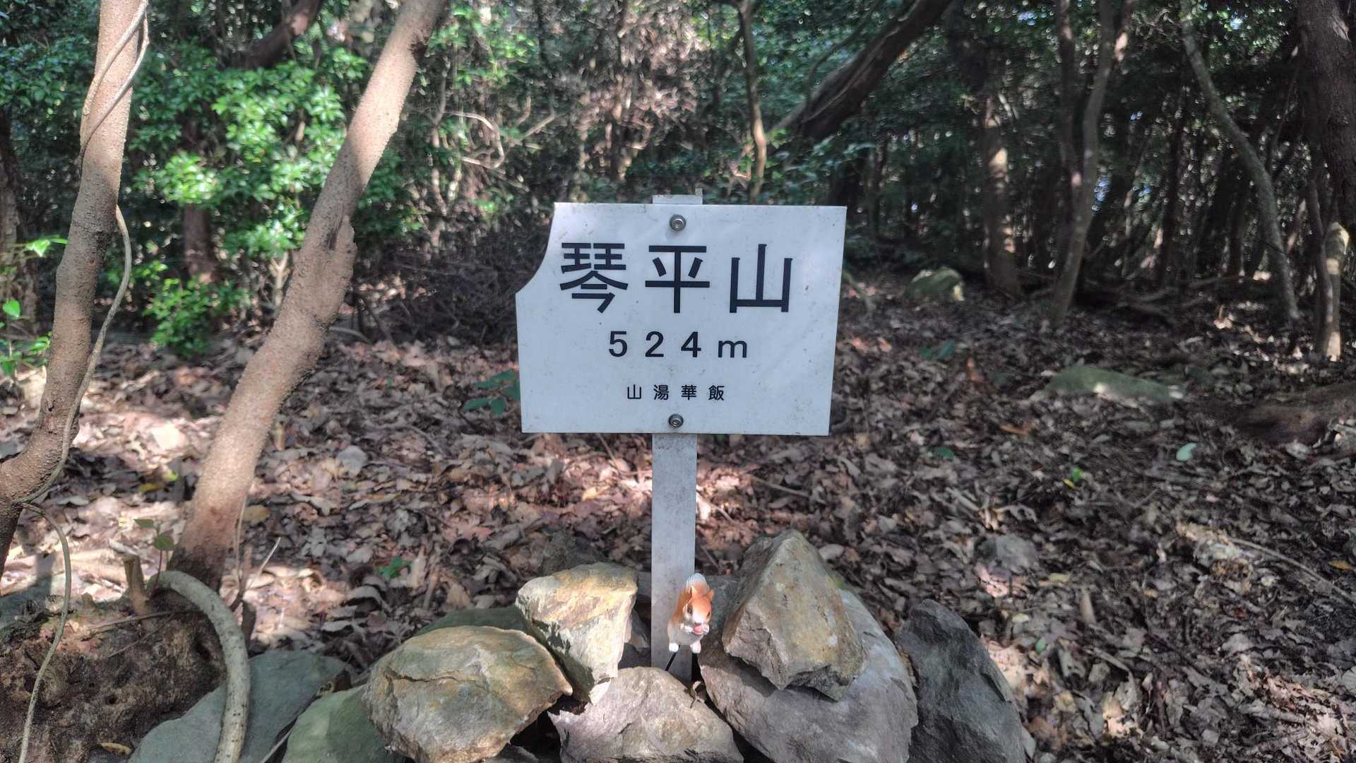 琴平山