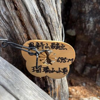 岩の途中にあった標識？手のひらサイズです。