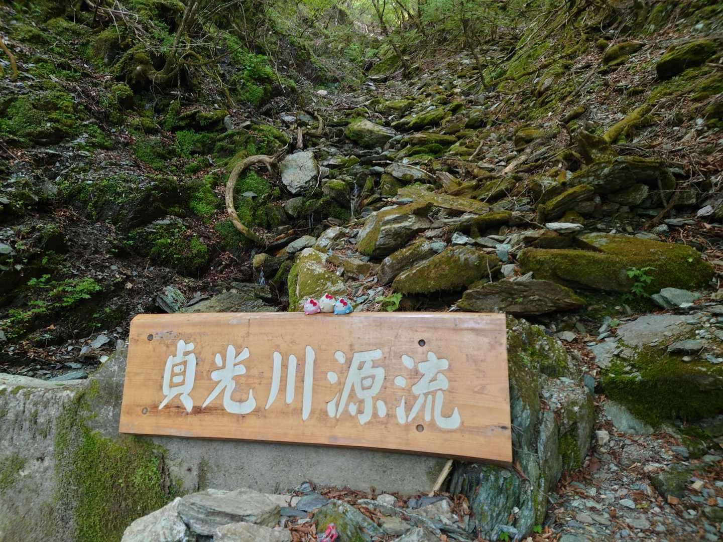 貞光川の源流でしたー😊