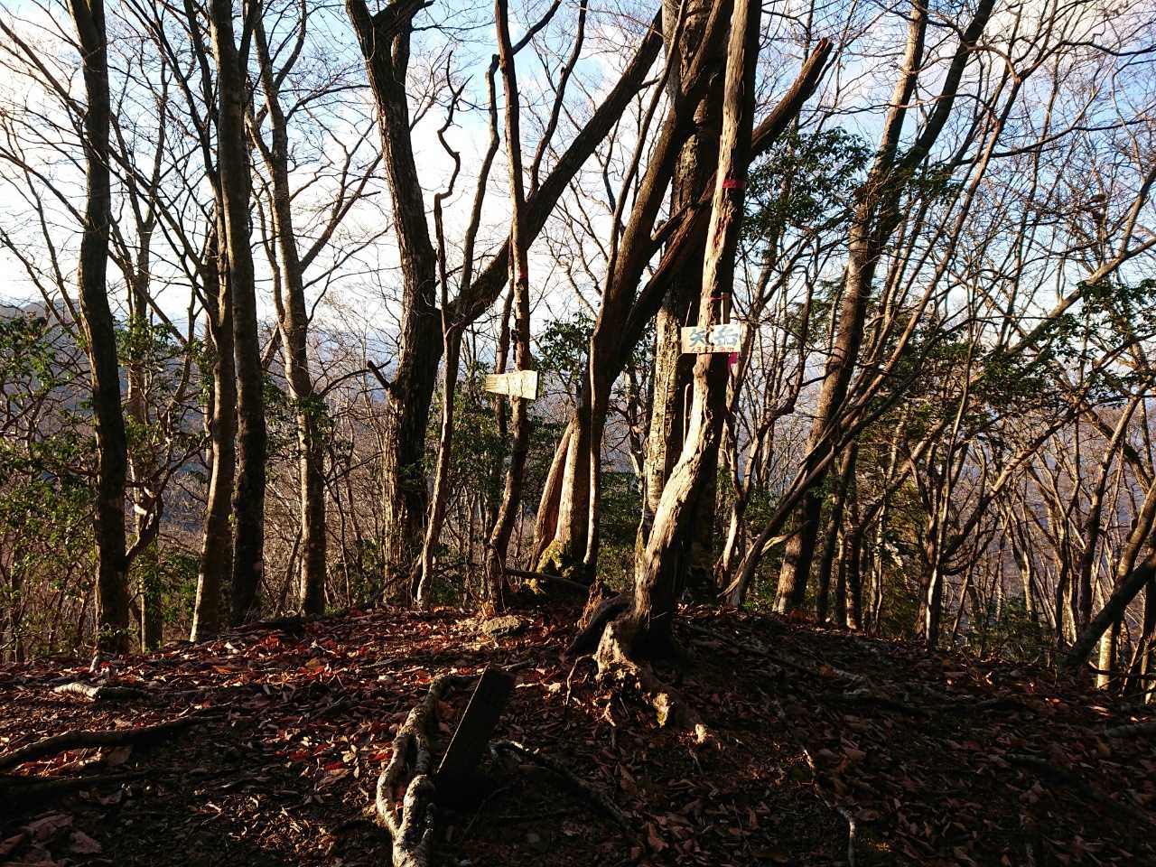 罠にはめようとしている変な矢印があって、岩の上を指示していたが、明らかに巻いた方が安全。
やっと矢岳に着いて、一休み。
日が暮れかかっていてさむ～い。