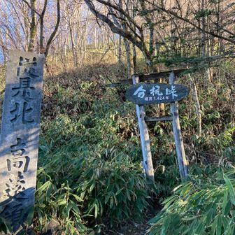 旧長谷村と大鹿村を分け隔てた峠らしいです。