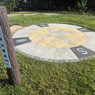 大阪超低山ラスト、登頂⛰️