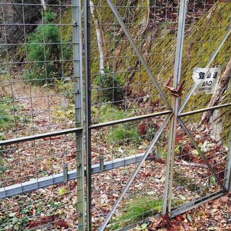 無事下山、お疲れ様でした。