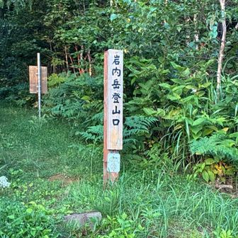 ご立派‼️