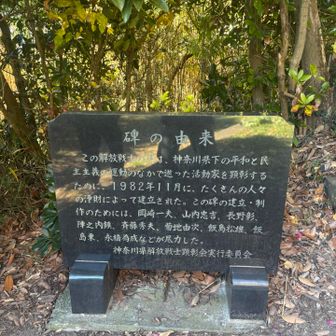 横須賀の方って活発だったのかな。これだけじゃわからない