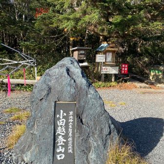 お疲れ様でした♪
ゴツゴツした岩場は比較的あるきやすい
しかし、雨の日はツルツル滑りそうな岩なので
大変でしょう😅

早池峰山ありがとうございました😭🙇