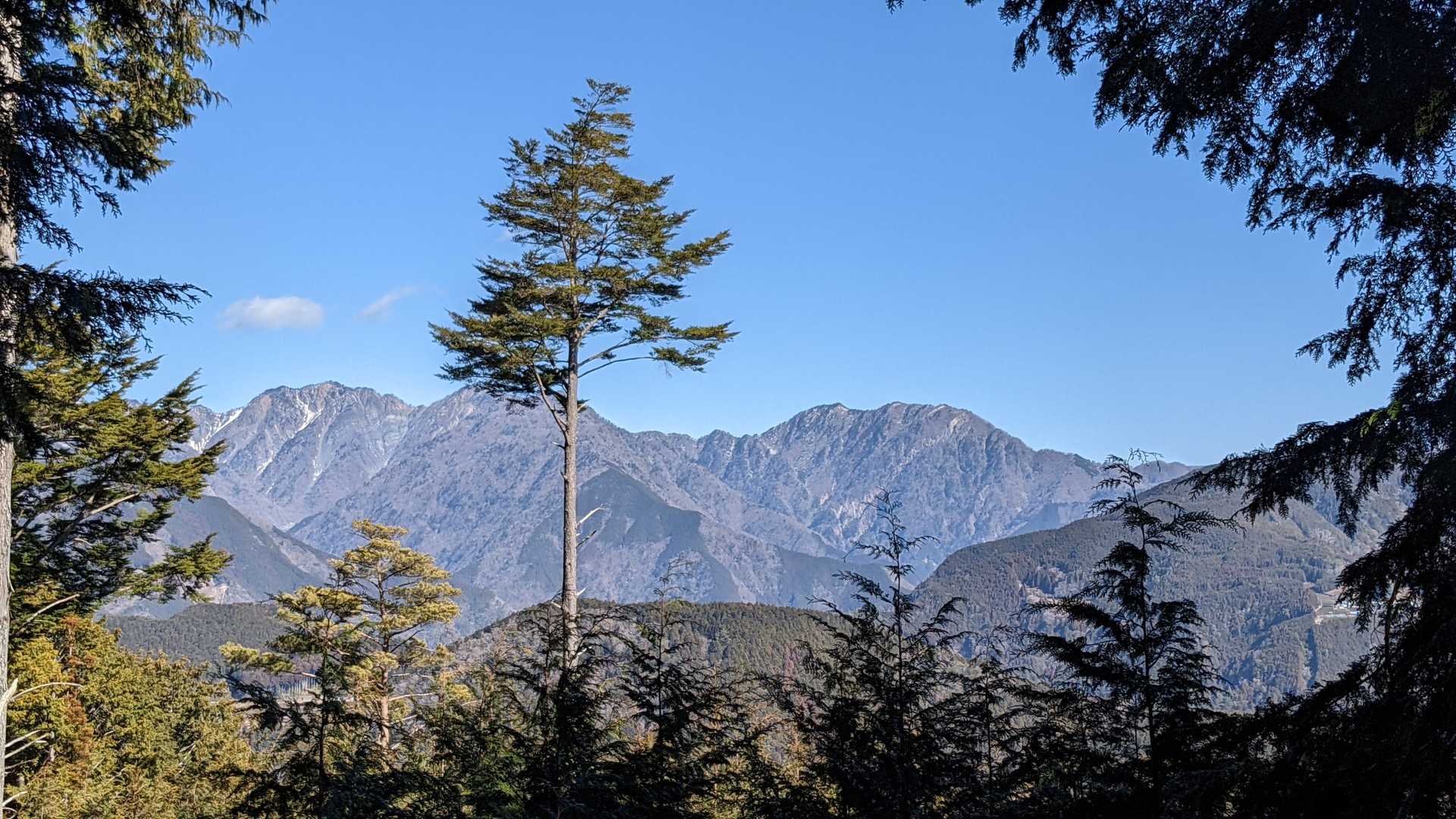 二王山 往復コースの写真