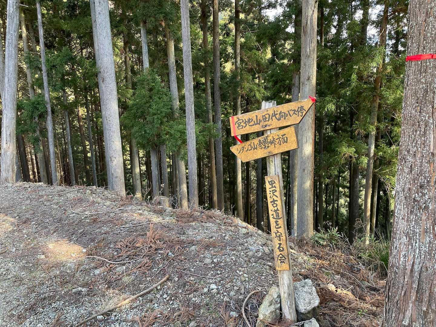 シダンゴ山方向へ