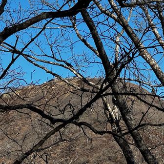 尊仏山荘をこちら側から見るのは久し振り