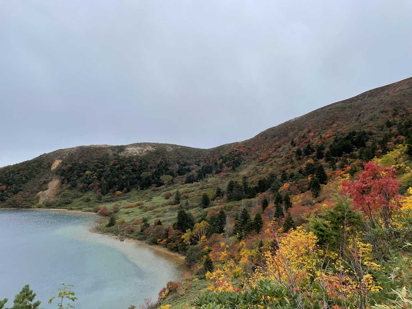 沼の周りの紅葉がきれい