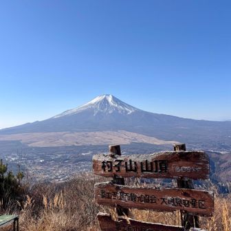山頂からの富士山