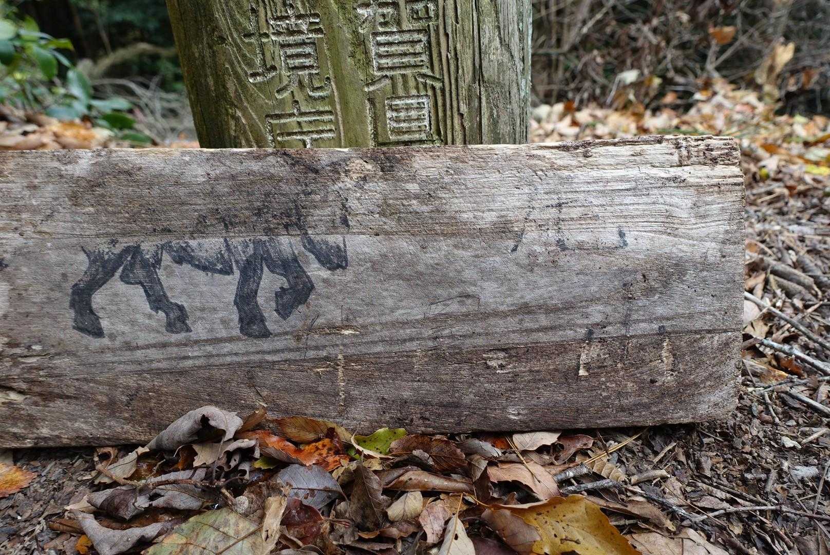 牛尾山…かな？
山頂標識なくわかりません😅
