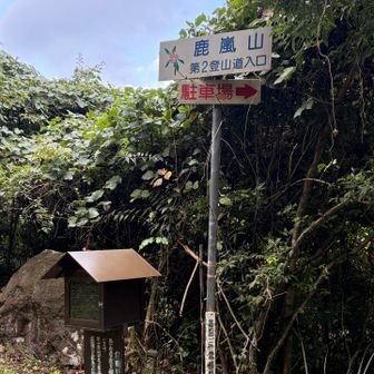 さて、ねこ山から行きます！
て言うか今回はネコだけです。
鹿嵐山の急登に膝がビビりました😅