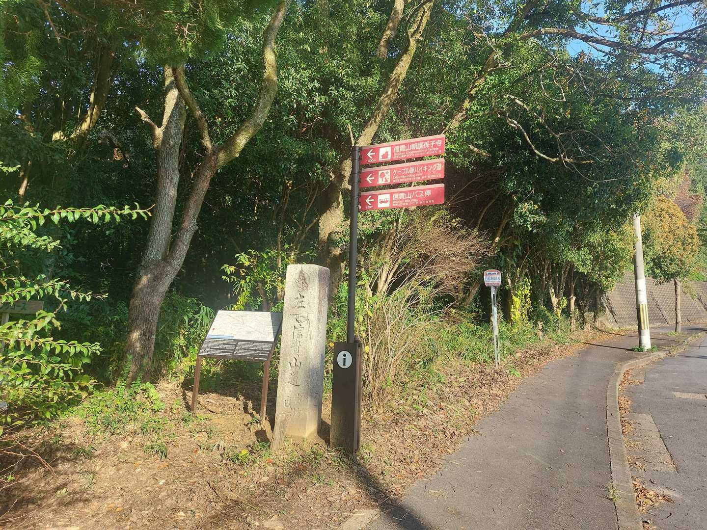 ここからハイキングコース(左側)🎵