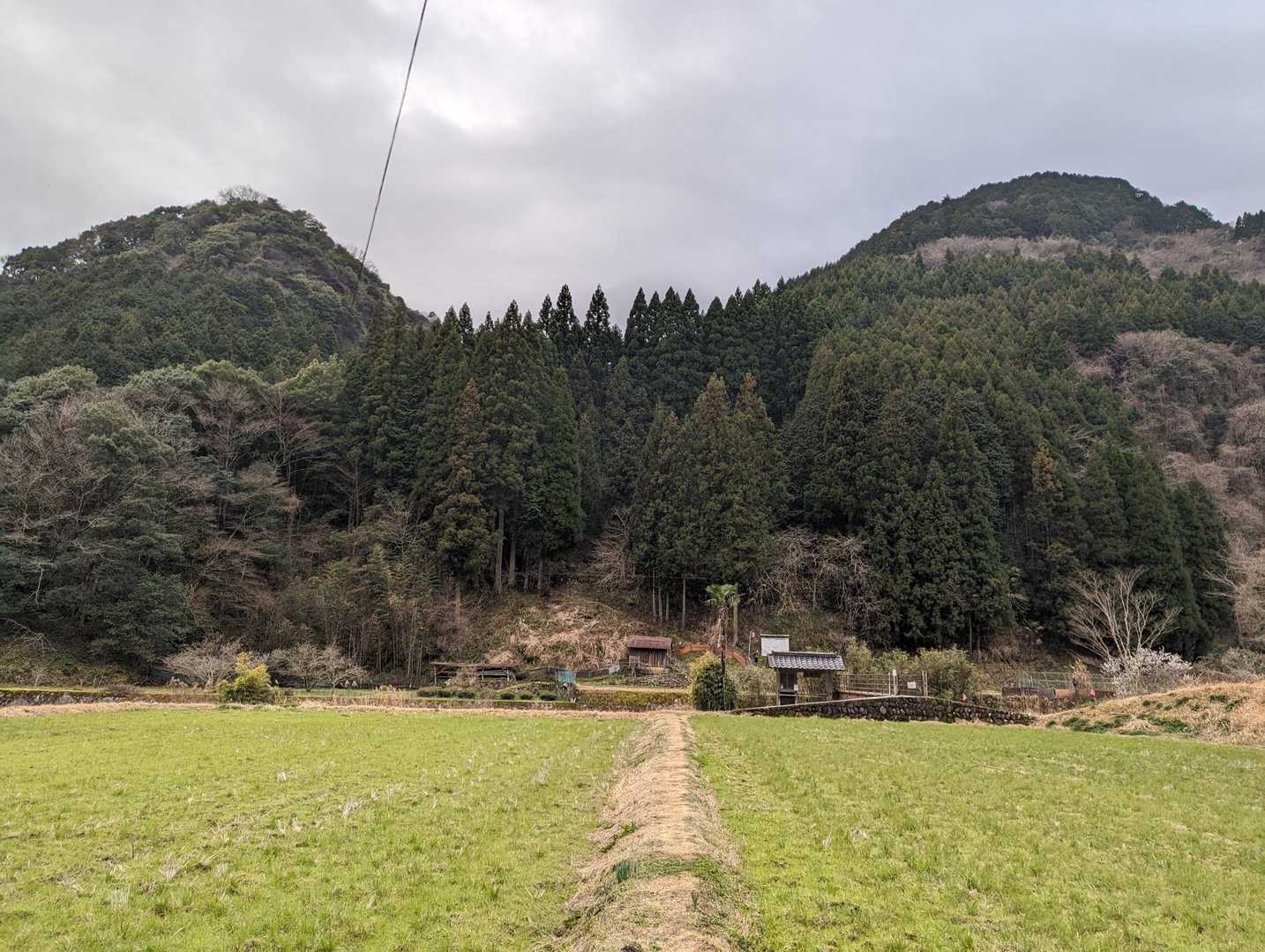 扇山 往復コースの写真