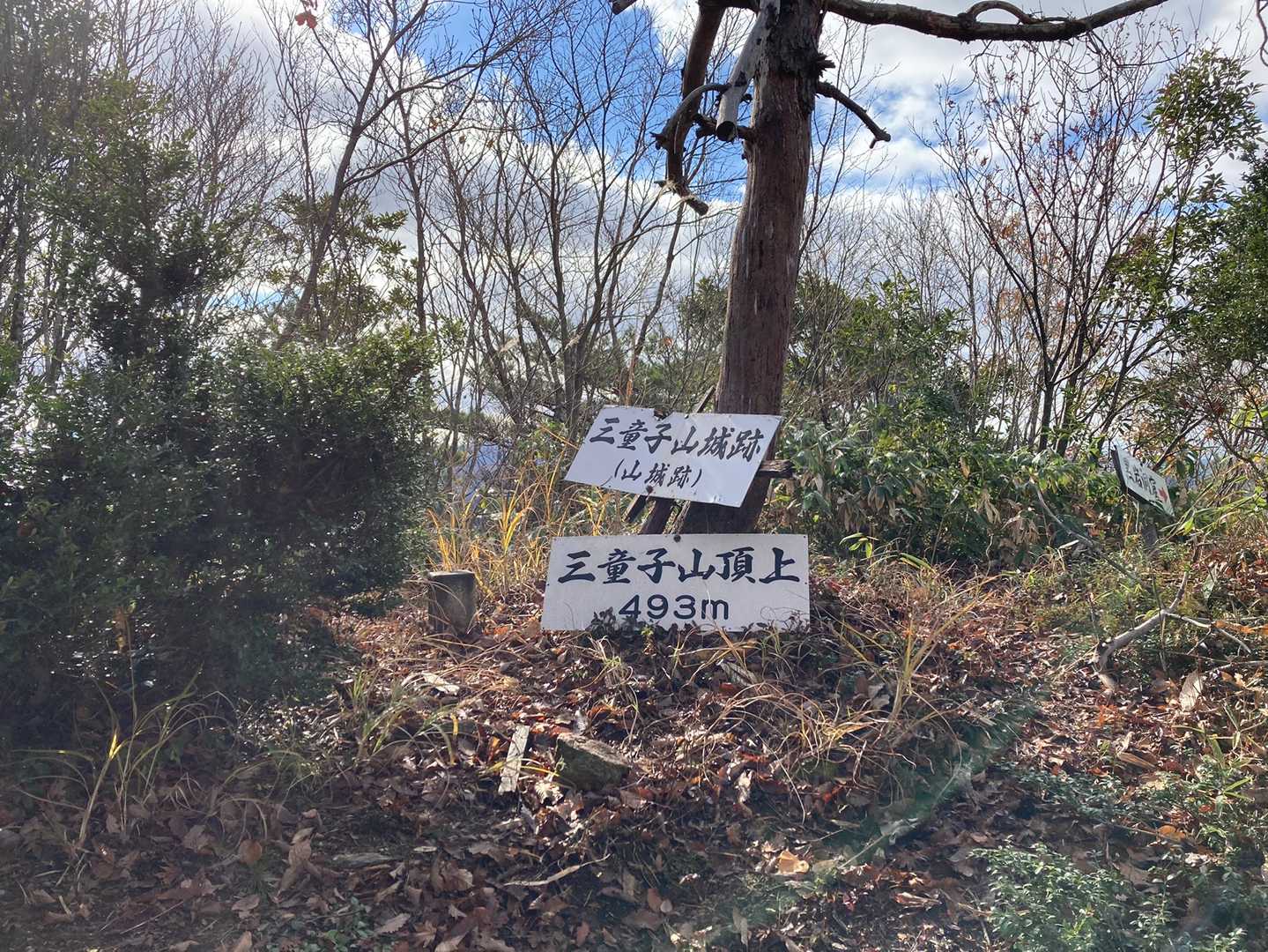 三童子山に到着。
展望はあまりありません…😅