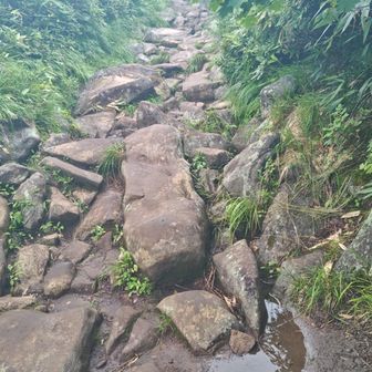 うあー
また石ゴロゴロを登るのかー