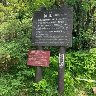 神山山頂
