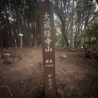撮影して先を急ぐ
