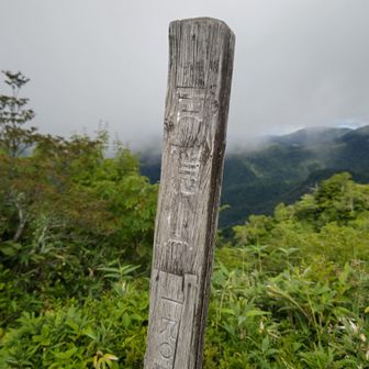 ヘロヘロになりながら、戸隠山に到着😵
足が売り切れ状態
緊張感だけで蟻の塔を渡るしかない