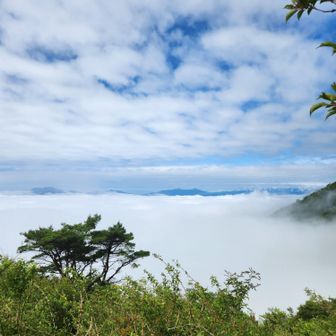 うぇ〜い！
雲海つか山！