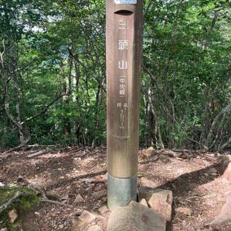 中央峰が1番高いんですね