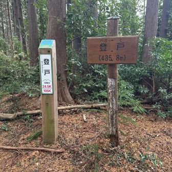 登戸［のぼっと］登頂435.8m