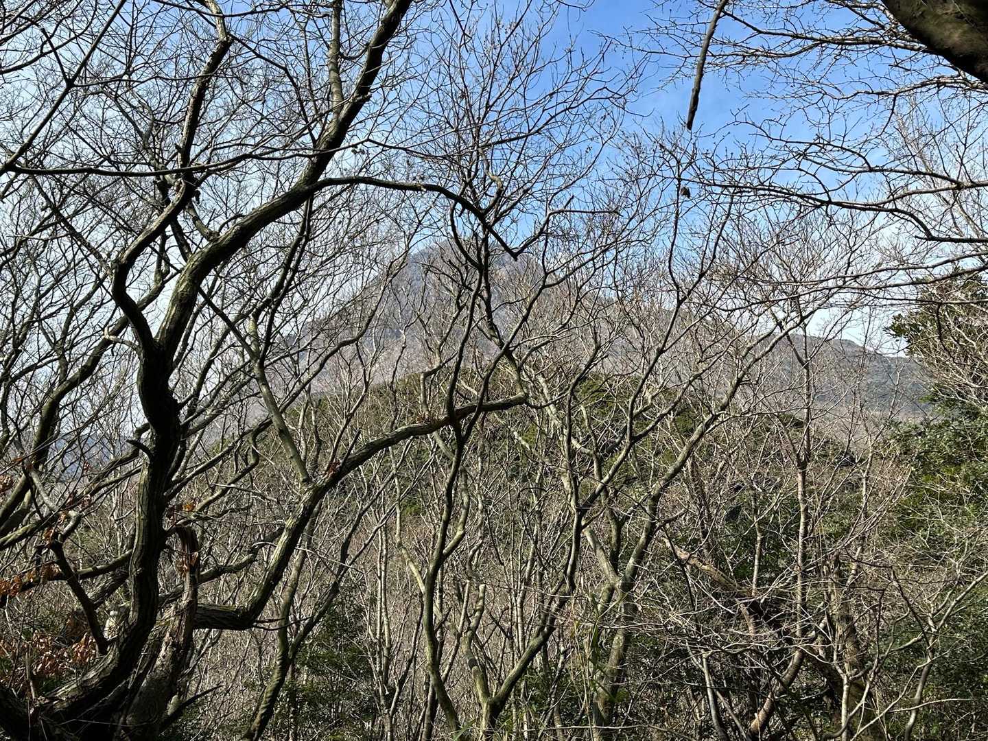 海は見えなくて平成新山を枯木越しに眺めながらですね😅