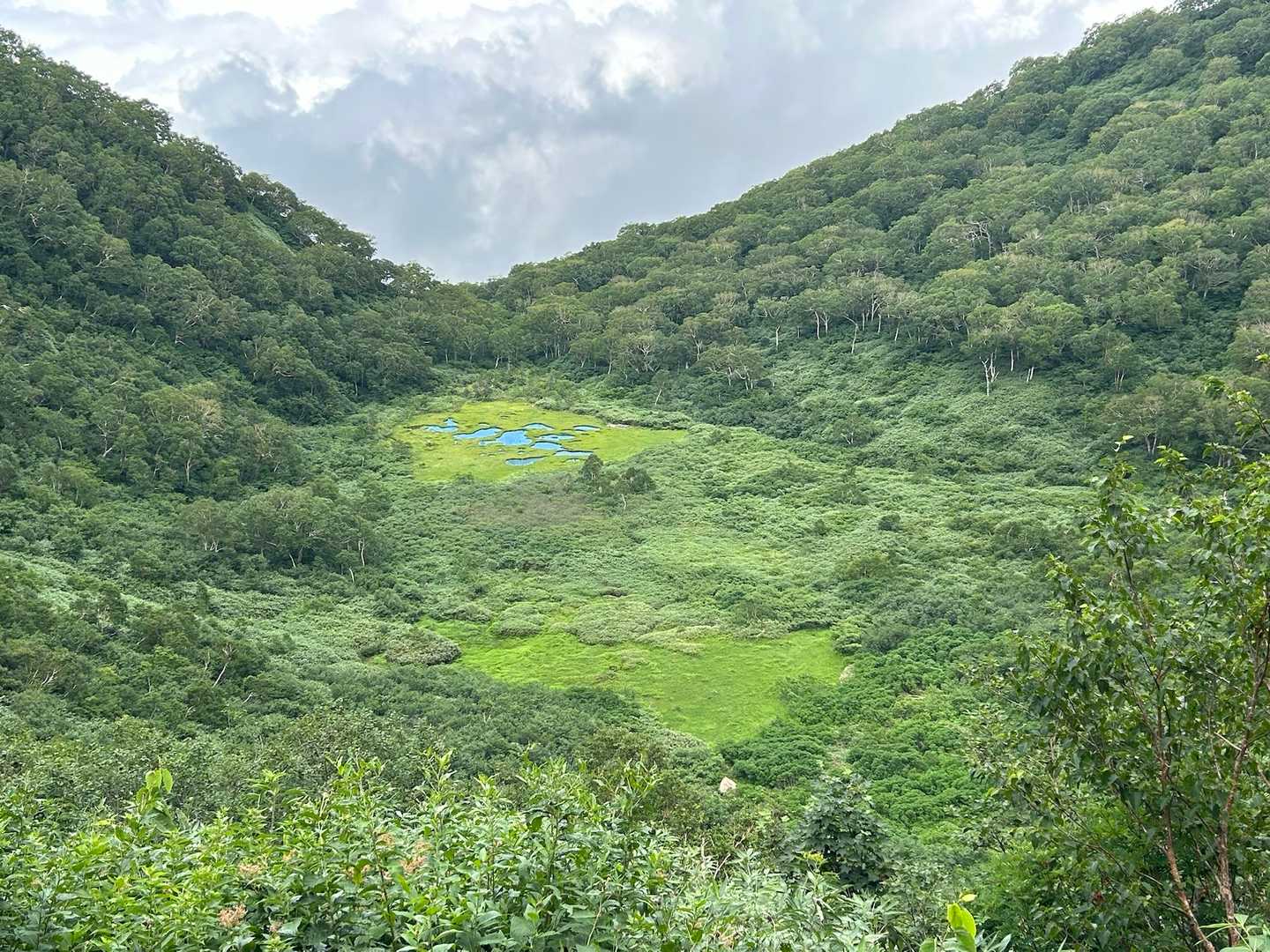 湿原