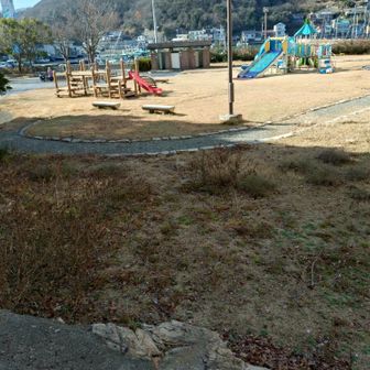 ここに降りてきました
目の前五味の市
焼き牡蠣🦪の匂いがしてますな🍽️