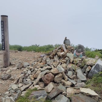 やっと山頂。何も見えん〜😢