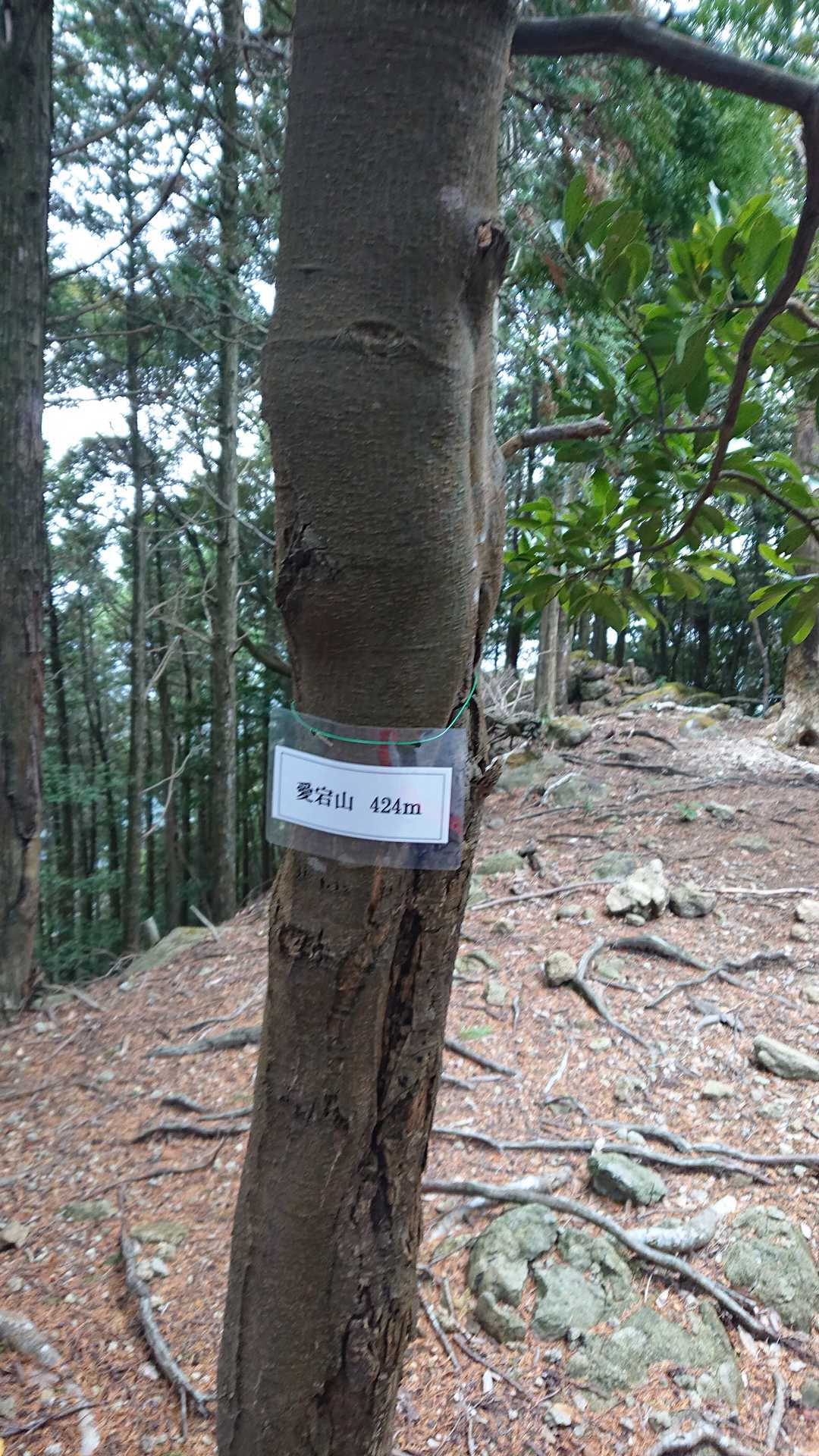 愛宕山