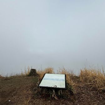 本当はここから日光ファミリーが見えるはずなんですが・・まっちろ